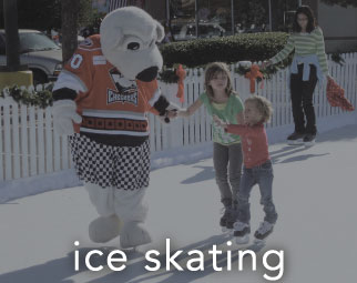 Ice Skating